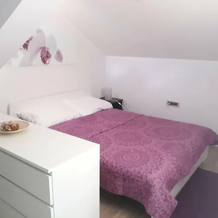 Tokic-basic Apartmán